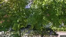 Room for rent, Oslo, Sinsenveien<span class="blurred street-number" onclick="ProcessAdRequest(17900969)"><span class="hint">See no.</span>[xxxxxx]</span>