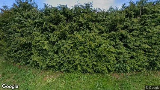Rooms for rent in Moss - Photo from Google Street View
