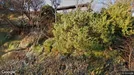 Room for rent, Os, Hordaland, Stegen<span class="blurred street-number" onclick="ProcessAdRequest(17948842)"><span class="hint">See no.</span>[xxxxxx]</span>