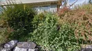 Room for rent, Oslo Ullern, Oslo, Vestveien<span class="blurred street-number" onclick="ProcessAdRequest(18124759)"><span class="hint">See no.</span>[xxxxxx]</span>