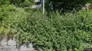 Apartment for rent, Sandefjord, Vestfold, TROLLSÅSVEIEN<span class="blurred street-number" onclick="ProcessAdRequest(18129524)"><span class="hint">See no.</span>[xxxxxx]</span>