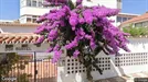 Apartment for rent, Málaga, Andalucía, &lt;span class=&quot;blurred street&quot; onclick=&quot;ProcessAdRequest(3737715)&quot;&gt;&lt;span class=&quot;hint&quot;&gt;See streetname&lt;/span&gt;[xxxxxxxxxxxxx]&lt;/span&gt;