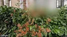 Apartment for rent, Castelsarrasin, Occitanie