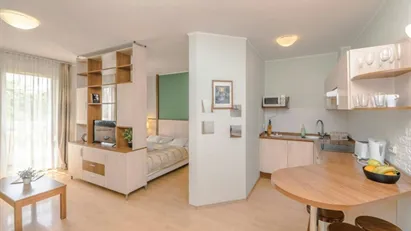 Apartment for rent in Budapest XIII. kerület, Budapest Apartment for rent in Budapest XIII. kerület, Budapest