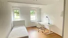 Room for rent, Potsdam, Brandenburg, Geschwister-Scholl-Straße, Germany