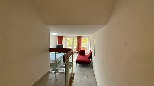 Apartments in Dietikon - photo 6