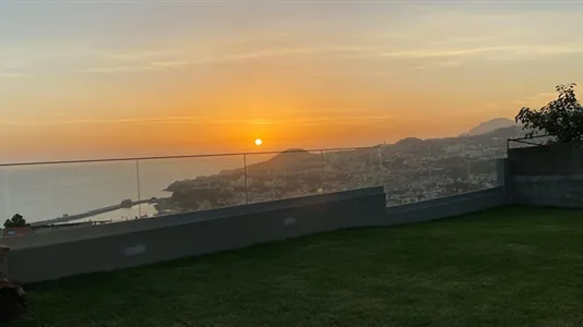 Houses in Funchal - photo 7