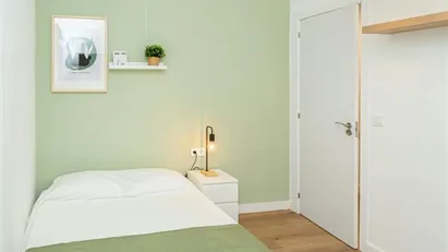 Room for rent in Zaragoza, Aragón