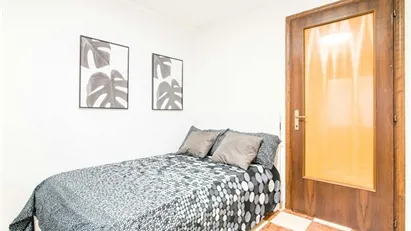 Room for rent in Padua, Veneto