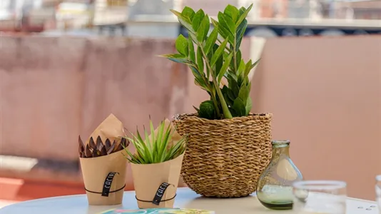 Apartments in Barcelona Eixample - photo 10