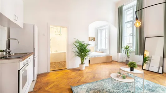 Apartments in Budapest Józsefváros - photo 6