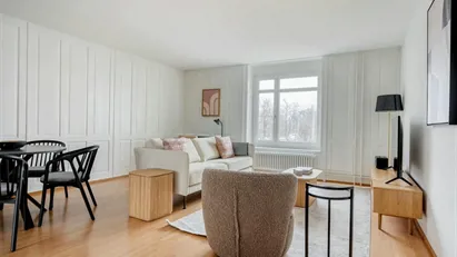 Apartment for rent in Zürich Distrikt 4  - Aussersihl, Zürich