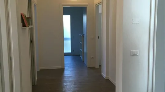 Rooms in Padua - photo 4