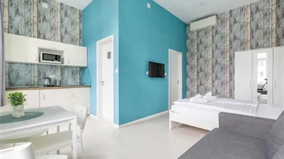 Apartment for rent in Budapest Erzsébetváros, Budapest
