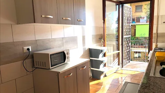 Rooms in Roma Municipio VIII – Appia Antica - photo 5