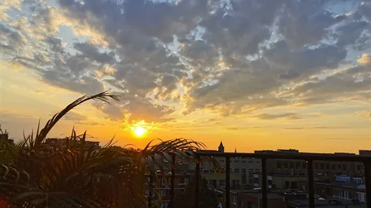 Apartments in Antwerp Borgerhout - photo 9