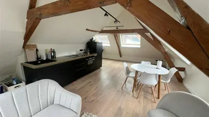 Apartment for rent in Delft, South Holland