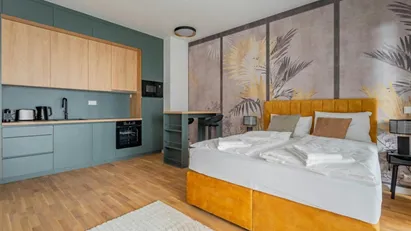 Apartment for rent in Budapest Erzsébetváros, Budapest