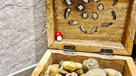 Apartments in Wien Rudolfsheim-Fünfhaus - photo 10