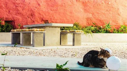 Rooms in Location is not specified - photo 8