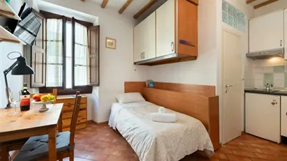 Apartment for rent in Florence, Toscana