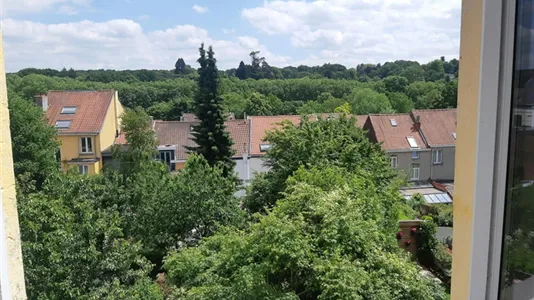 Rooms in Brussels Watermaal-Bosvoorde - photo 5