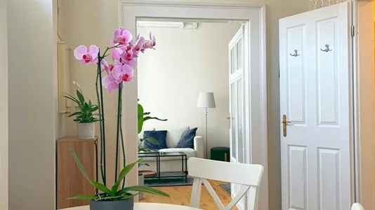 Apartments in Budapest Belváros-Lipótváros - photo 5