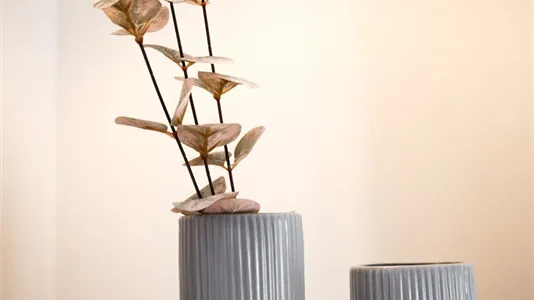 Apartments in Märkisch-Oderland - photo 9