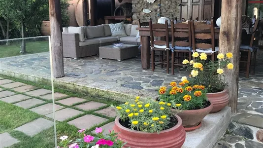 Houses in Platanias - photo 8