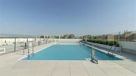 Apartments in Enramadilla - photo 9