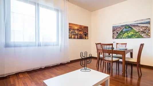 Rooms in Padua - photo 7