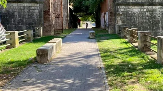 Rooms in Pisa - photo 6