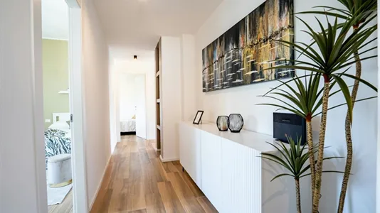 Rooms in Padua - photo 9