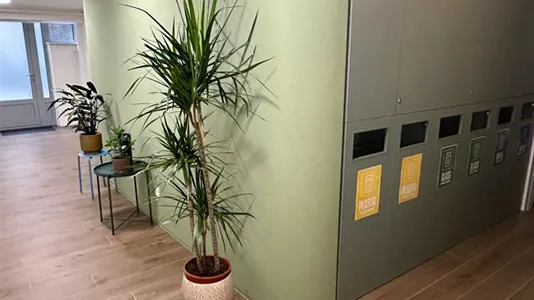 Rooms in Besnica - photo 7