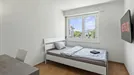 Room for rent, Winterthur, Zürich (Kantone), <span class="blurred street" onclick="ProcessAdRequest(14444073)"><span class="hint">See streetname</span>[xxxxxxxxxxxxx]</span>