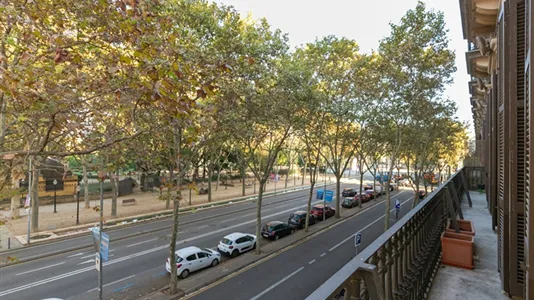 Apartments in Barcelona Ciutat Vella - photo 8