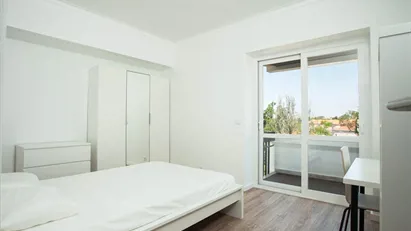 Room for rent in Lisbon (region)