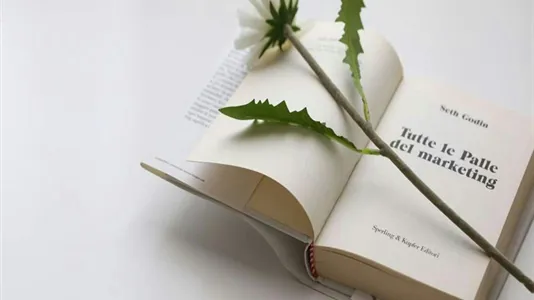 Rooms in Milano Zona 3 - Porta Venezia, Città Studi, Lambrate - photo 5