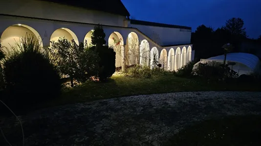 Houses in Hornstein - photo 7