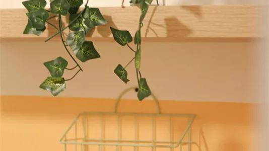 Rooms in Barcelona Eixample - photo 8