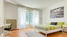 Room for rent, Trento, Trentino-Alto Adige, Via Giacomo Matteotti, Italy