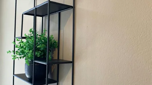 Rooms in Schiedam - photo 10