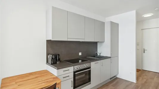 Apartments in Graz - photo 5