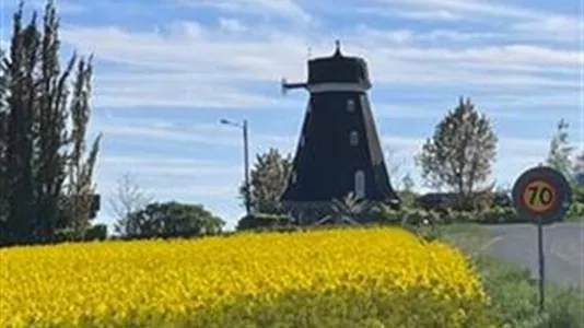 Houses in Simrishamn - photo 8