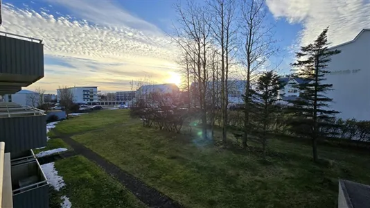 Rooms in Reykjavík Miðborg - photo 10