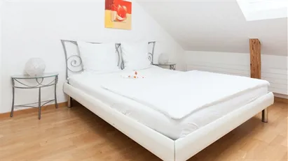 Apartment for rent in Zürich Distrikt 4  - Aussersihl, Zürich