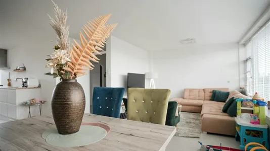 Apartments in Nissewaard - photo 5