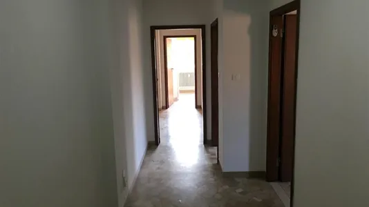 Rooms in Bologna - photo 7