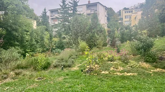 Rooms in Budapest Várkerület - photo 10