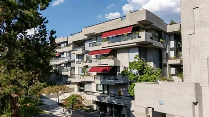 Apartment for rent in Zürich Distrikt 10, Zürich